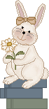 bunny_book01.gif (5833 bytes)