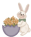 bunny_cl2.gif (6911 bytes)
