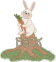 bunny_clipback.gif (10139 bytes)
