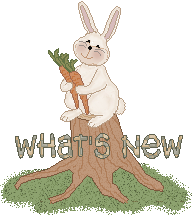 bunny_clipnew.gif (10673 bytes)