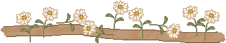 bunny_div05.gif (3849 bytes)
