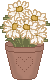 bunny_flpot01.gif (2152 bytes)
