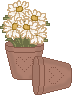 bunny_flpot02.gif (2695 bytes)
