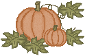 pumpkin_08.gif (3253 bytes)