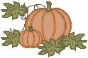 pumpkin_08.gif (3253 bytes)