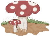 falla_mushroom01.gif (6700 bytes)