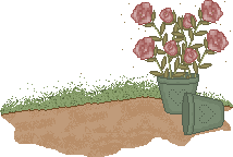 rose_pot01.gif (5900 bytes)