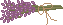 spr_cl14.gif (1164 bytes)