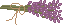 spr_cl15.gif (1151 bytes)