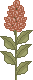 spr_cl26.gif (1396 bytes)