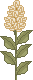 spr_cl28.gif (1396 bytes)