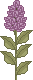 spr_cl29.gif (1396 bytes)
