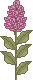 spr_cl30.gif (1393 bytes)