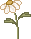 spr_cl31.gif (1067 bytes)