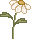 spr_cl32.gif (1063 bytes)
