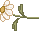 spr_cl33.gif (1062 bytes)