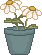 spr_cl57.gif (1372 bytes)