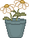 spr_cl58.gif (1370 bytes)