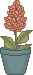 spr_cl59.gif (1425 bytes)