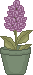 spr_cl60.gif (1427 bytes)