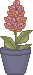 spr_cl61.gif (1427 bytes)