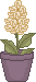 spr_cl62.gif (1427 bytes)