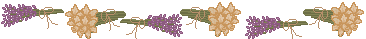 spr_ln01.gif (3010 bytes)