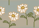bgaqdaisy.gif (2353 bytes)