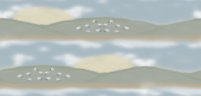 bgaqprairy.gif (21754 bytes)