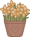 cldaffpot.gif (2244 bytes)