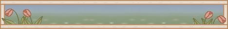 setbanner02.gif (8229 bytes)