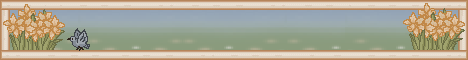 setbanner03.gif (8589 bytes)