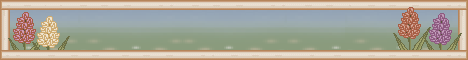 setbanner04.gif (8503 bytes)
