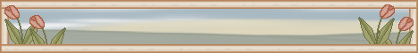 setbanner06.gif (7930 bytes)