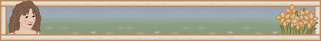 setbanner11.gif (7905 bytes)