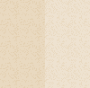 spring_bgystripeb.gif (1473 bytes)