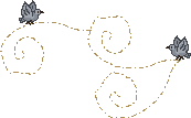 spring_birds01.gif (1676 bytes)