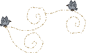 spring_birds02.gif (1676 bytes)