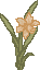 spring_dafb.gif (1300 bytes)
