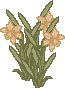 spring_dafc.gif (1932 bytes)