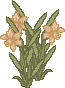 spring_dafd.gif (1922 bytes)