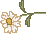 spring_dsy03.gif (1127 bytes)