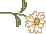 spring_dsy04.gif (1131 bytes)