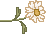spring_dsy05.gif (1122 bytes)