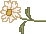 spring_dsy06.gif (1127 bytes)