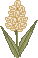 spring_hyac01.gif (1297 bytes)