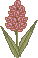 spring_hyac02.gif (1297 bytes)