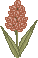 spring_hyac03.gif (1296 bytes)