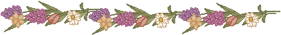 spring_ln02.gif (4340 bytes)