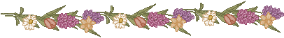 spring_ln02a.gif (4386 bytes)